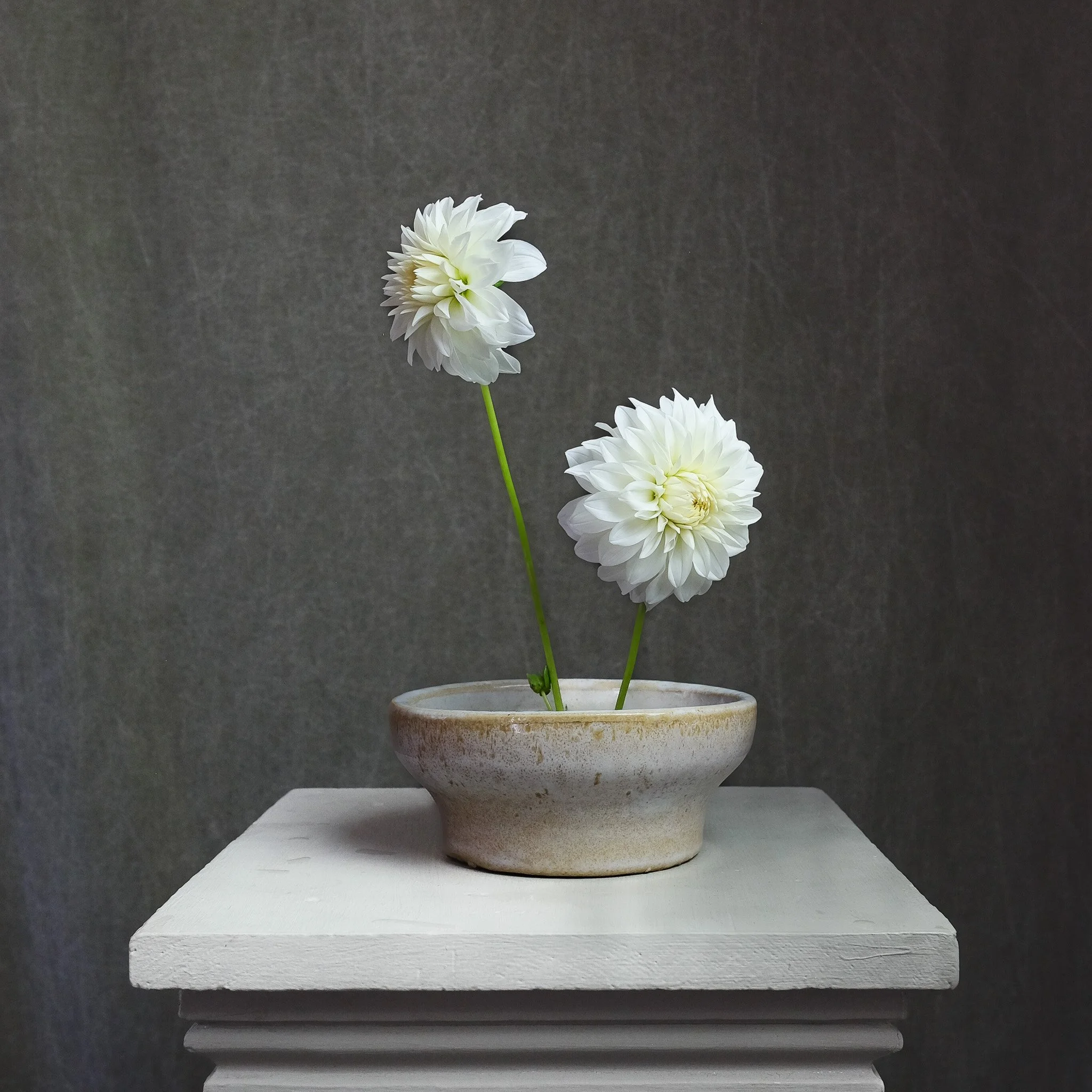 Valley Porcupine — Petal Creek Farm